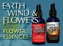 Aromatherapy ~ Earth Wind and Flower Essences